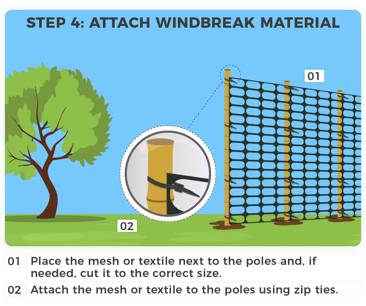 Constructing a windbreak. Step 4: Attach windbreak material