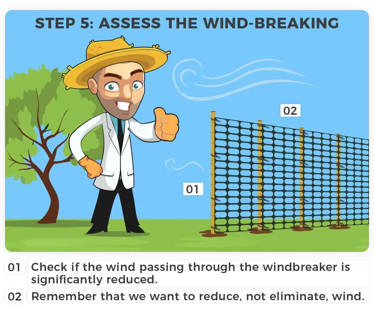 Constructing a windbreak. Step 5: Assess the wind-breaking