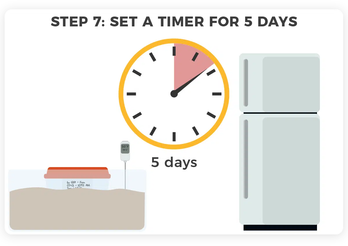 Stratification step 7- Set a timer for 5 days